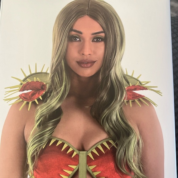 Accessories - LONG TONAL GREEN WIG. NIB 24 inches green wig HALLOWEEN COSTUME